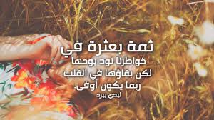 كلام حزين جميل ليدي بيرد