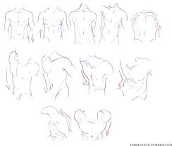 There is a complex group of back muscles that work together to support the spine, support the body upright position and allow the trunk of the body to move, twist and bend in various directions. Male Muscle Drawing Reference