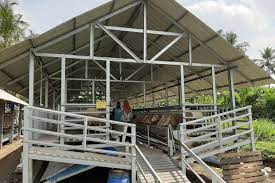 Kandang kambing modern dapatkan artikel menarik mengenai peternakan kambing domba di link kami bawah ini : Cerita Vita Berhenti Jadi Dosen Berstatus Pns Pilih Beternak Kambing Jejaknya Diikuti 30 Milenial Halaman All Kompas Com