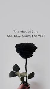 Aesthetic wallpapers tumblr gray aesthetic black white. Black Rose Wallpaper For Iphone