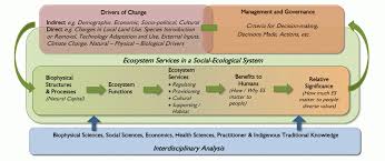 A history of the ecosystem concept in ecology : Ecosystem Services Toolkit Biodivcanada