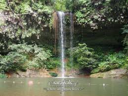 Well, lambir hills national park is also a site where ecological research is conducted and there are numerous sample collecting sites deeper in the jungle. Spend A Day At Lambir Hills National Park Miri Sarawak