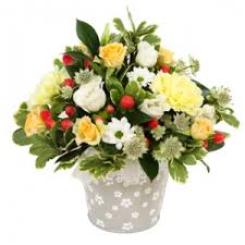 Order now to send flowers across australia choose from the flower categories below. Send Christmas Flowers To Uk From Australia