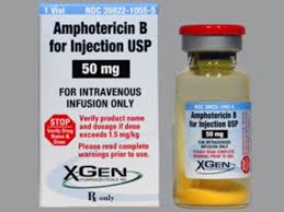 Image result for Amphotericin B