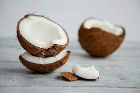 Can Cats Eat Coconut
