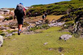 Mount William National Park