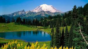 Mount Rainier National Park Wallpapers Wallpaper Cave Also you can share or upload your in compilation for wallpaper for mount rainier, we have 20 images. mount rainier national park wallpapers