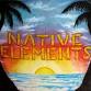Native Elements: New Year's Eve Reggae Dance Party... event in Belmont, CA
