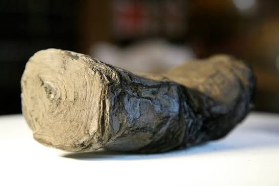 古代羊皮紙文字，象徵赫庫蘭尼姆卷軸中保存的古代智慧