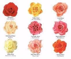 Roses, lilies, orchids, tulips, sunflowers, irises, carnations Know What Your Flowers Symbolize Cheap Wedding Flowers Diy Wedding Flowers Beach Wedding Flowers