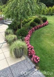 new flowers garden summer colour 44 ideas landscaping inspiration front yard landscaping design front yard landscaping