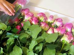 Jen, on january 17, 2013 at 4:52 pm posted in do it yourself 0 25. The Best Place To Buy Bulk Flowers Online For Your Wedding Bridalpulse