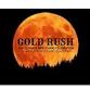 Briz: Gold Rush-The Ultimate Neil Young Celebration event image