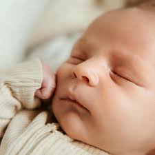 Laura Schraefel Photography