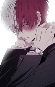 Boku No Hero Academia Todoroki Shouto My Hero Academia Mha Hero My Hero Academia My Hero Academia Shouto