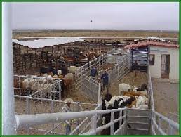 .de 43 mil litros, corrales para 300 cabezas de ganado, bodega, terraza, área de juego y alambrado. Construccion De Corrales Para El Ganado