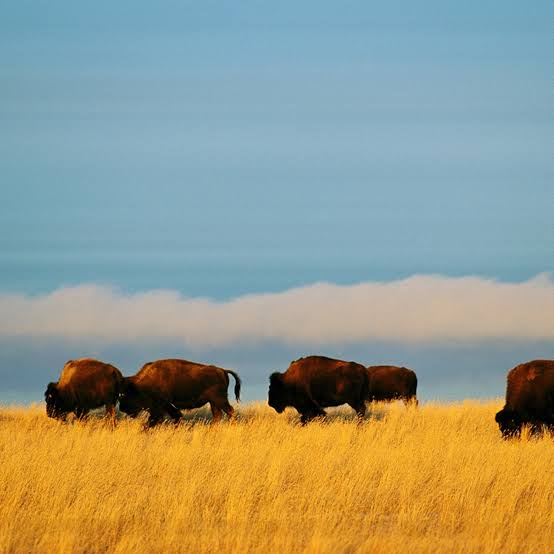 Nebraska Pictures and Facts | National Geographic Kids