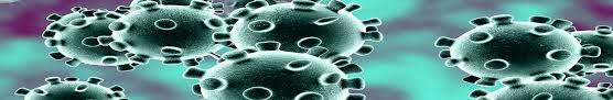 About Coronavirus Covid 19 Ministry Of Health