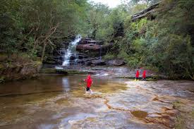 Other areas of brisbane water national park will be open at all times, however may have to close at times due to poor weather or fire danger. Making A Splash At Somersby Falls Travel With Meraki