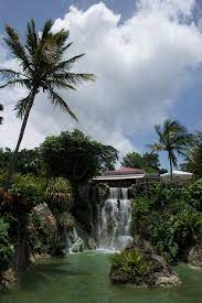 plage de grande anse jardin botanique guadeloupe guadeloupe voyage deshaies