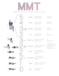 Mmt Chart Occupational Therapy Physical Therapy How To Memorize Things