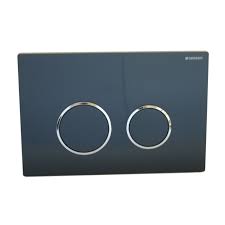 Placca Doppio Tasto Geberit Sigma 20 Nero Prezzo Online Leroy Merlin