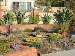 Plants that naturally survive in your area are the ones best adapted to your soil, climate and rainfall. Drought Tolerant Plant Ideas For Your Homestead