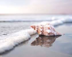 V Goodshoot Picoftheweekend Photshoot Photoftheday Mondaypic Photoeverywhere Camer Strandfotografie Strandafbeeldingen Minimalistische Fotografie