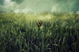 Ferns are variants of grass found only in certain biomes and have the same characteristics as grass. In The Tall Grass On Netflix Reviewed