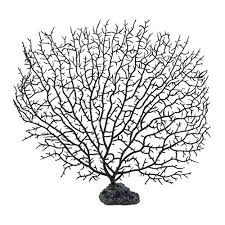 Fashion, home & garden, electronics, motors, collectibles & arts Sciencepurchase 10 5 Black Fish Tank Aquarium Decoration Sea Coral Ornament Buy Online In Bahamas At Bahamas Desertcart Com Productid 23792092