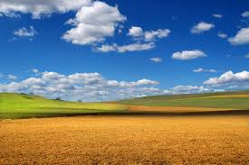 Oddly enough, goplay 's greatest feature is also its greatest weakness. Landscape Photography Of Green Field Under Blue Sky Windows Xp Microsoft Windows Hills Hd Wallpaper Wallpaper Flare