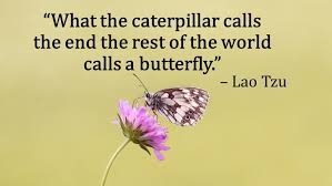 We did not find results for: 14 Quotes On New Beginnings And Starting Something