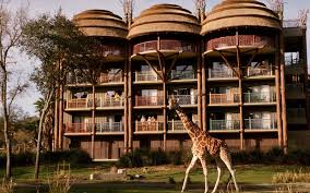 Disney S Animal Kingdom Lodge Animal Kingdom Disney Disney Animal Kingdom Lodge Disney Hotels