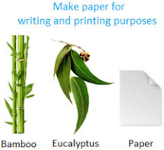 Eucalyptus oil for colds and flu. Uses Of Plants Plants As Food Plants As Medicines Paper Rubber Perfumes