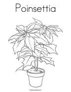 Brightly colored poinsettias are lovely to look at and fun to color. Christmas Poinsettia Coloring Page Twisty Noodle