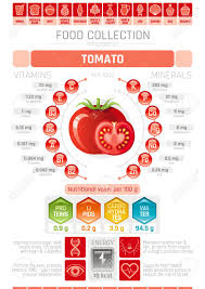 Food Infographics Poster Tomato Vegetable Vector Illustration