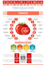 food infographics poster tomato vegetable vector illustration