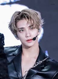 The group consists of 13 members: Musicbank In Gangneung Dawn1004 Malangcow Joshua Seventeen Seventeen Kpop Vernon Seventeen