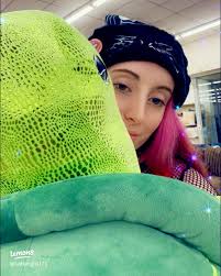 Create a Cozy Jumbo Rose Turtle Pillow with Chunky Yarn