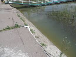 Autoritatile au luat deja primele masuri de prevenire si au in plus, intrarile in blocul de locuinte aflat in apropierea malului au fost inaltate cu saci cu nisip, astfel incat, chiar daca apa va ajunge in perimetrul. DunÄrea Este In ScÄdere La BrÄila Dar Peste Cota De InundaÈie Realitatea De BrÄila