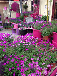 Ferndale Garden Centre Clever Colour Blocking Bebe Garden Center Displays Garden Center Garden Design