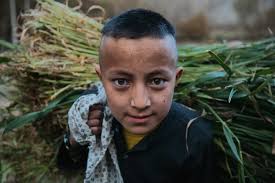 Luis Piñeiro, un gallego entre talibanes