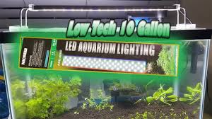 Nicrew Deluxe Led Low Tech 10 Gallon Youtube