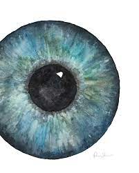 Blue Iris Eye Watercolor Print Ophthalmology Art Etsy In 2021 Eye Watercolor Ophthalmology Art Anatomy Art
