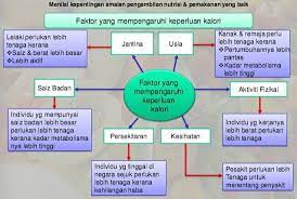 Kawasan yang tinggi akan mengalami suhu yang semakin rendah. Nota Sains Cikgu Faten Satu Hari Satu Ilmu Tingkatan 5 Kbsm Bab 2 Nutrisi Faktor Mempengaruhi Pengambilan Nilai Kalori Makanan Jantina Lelaki Memerlukan Lebih Banyak