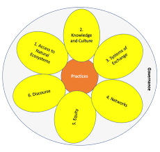 Scaling Agroecology From The Bottom Up Six Domains Of Transformation Food First