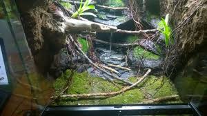 New Paludarium Vivarium Terrarium Aquarium