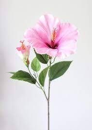 Check spelling or type a new query. Pink Silk Hibiscus Flower 26 Panysilkny