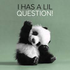 Too Cute A Baby Panda With His Hand Up Asking A Question Fluffy Animals Baby Animals Pictures Baby Animals