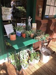 Mepkin Abbey Garden Newsletter November 2021 Monthly Maintenance